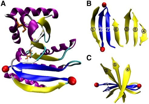 Fig. 1.