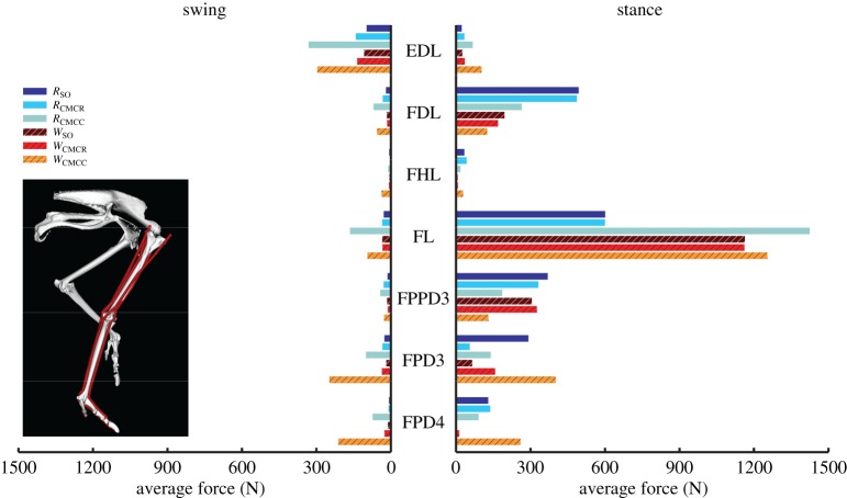 Figure 11.