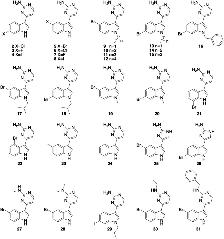 Fig. 2