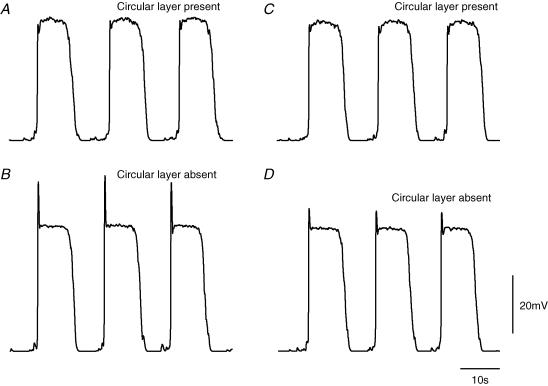 Figure 8