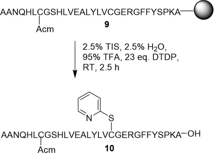 Scheme 4