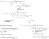 Scheme 5