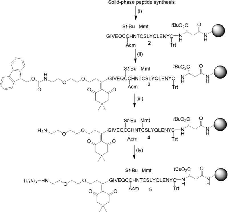 Scheme 2