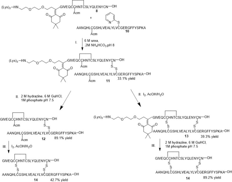 Scheme 5