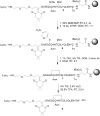 Scheme 3