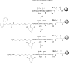 Scheme 2