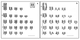 Figure 2 -