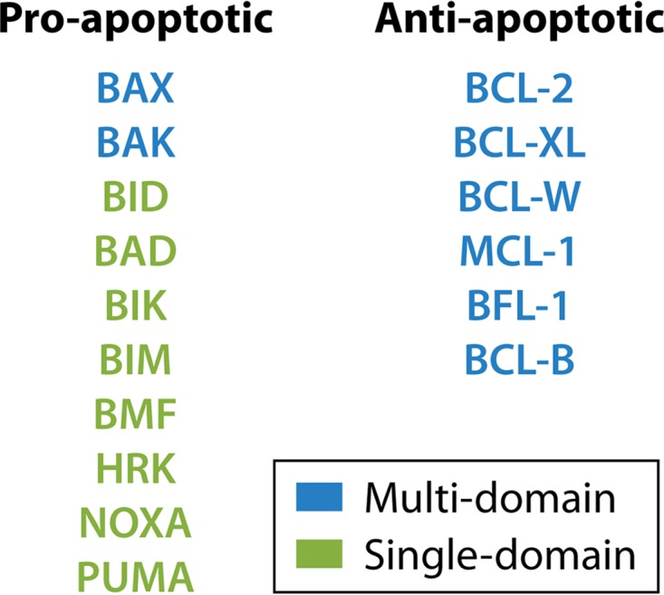 FIG 1