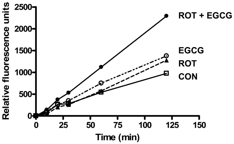 Fig. 5