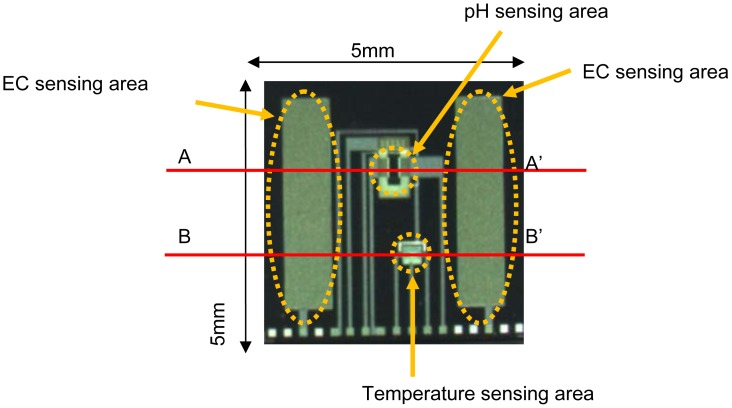 Figure 3.