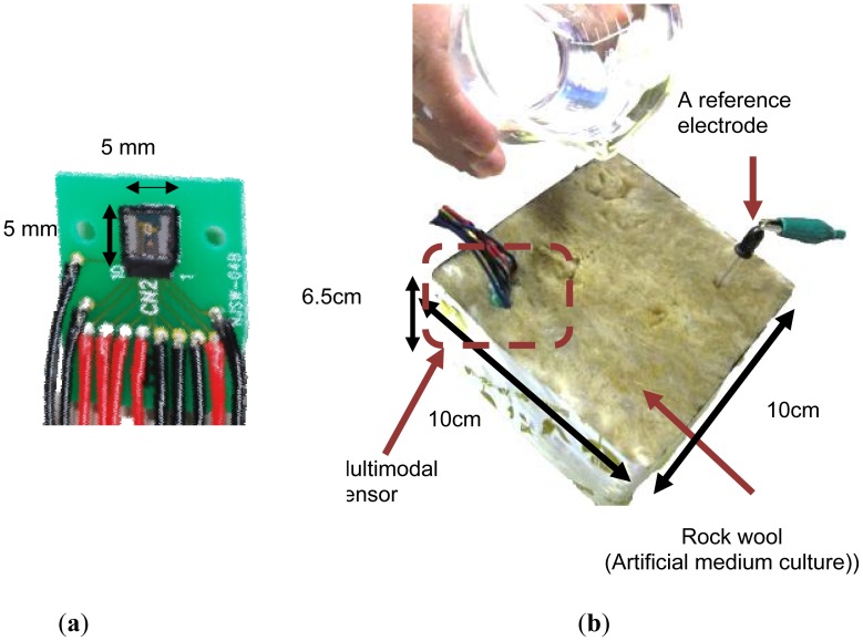 Figure 11.