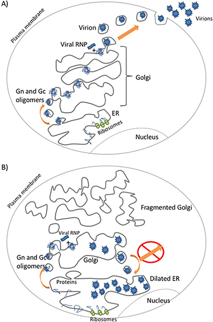 FIG 12