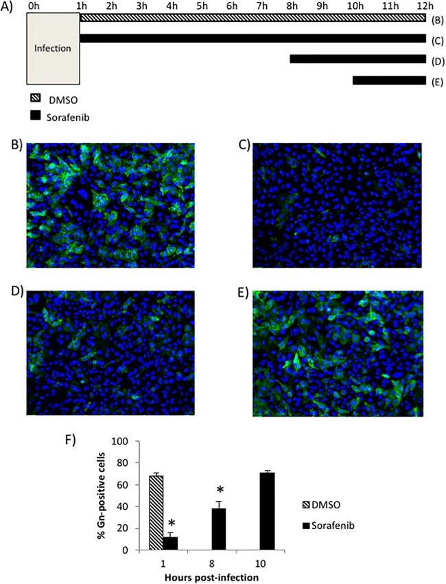 FIG 1