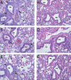 FIG. 7.