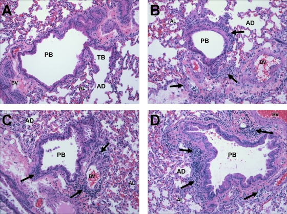 FIG. 8.