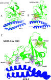 FIG. 2.