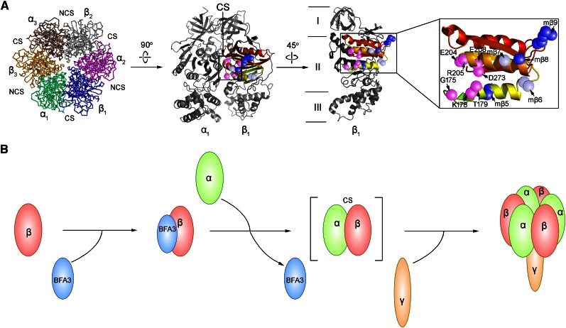 Figure 10.