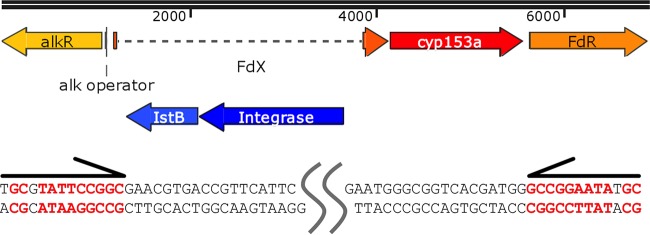 FIG 1