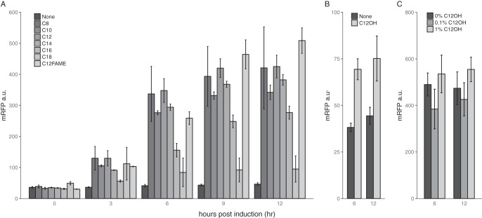 FIG 2