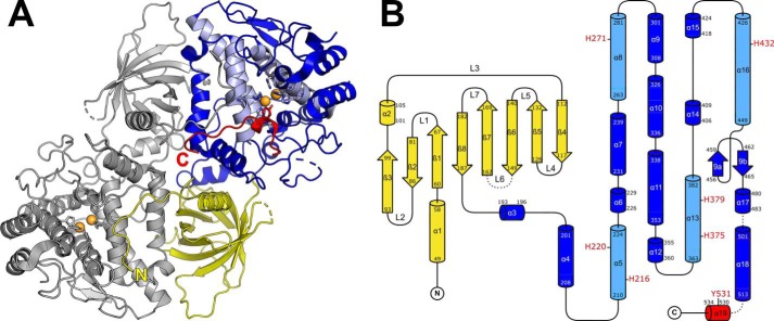 Figure 2.