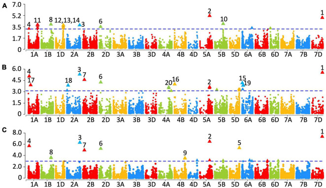 FIGURE 4