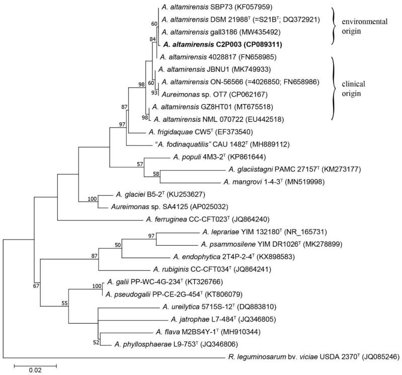 Figure 2