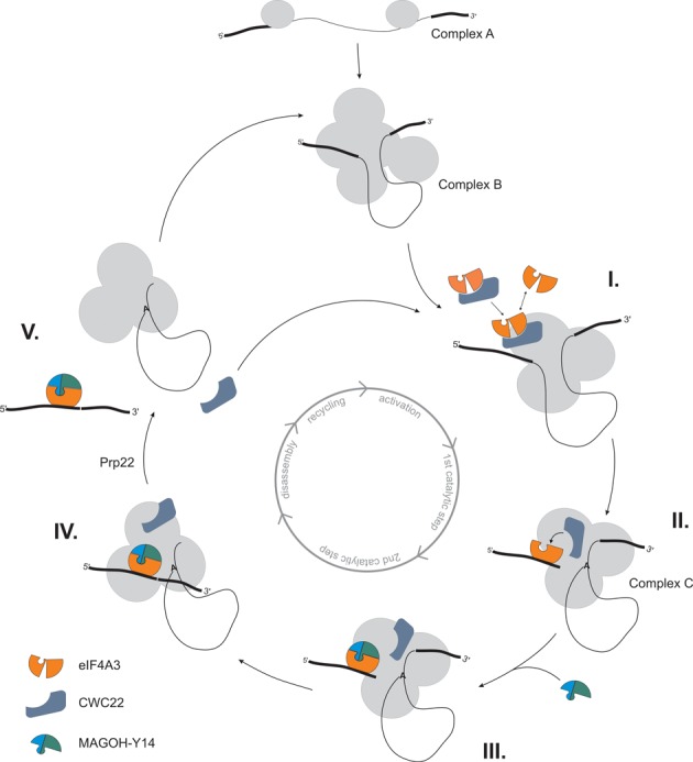 Figure 7.