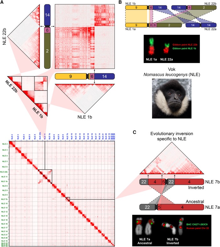 Figure 2.