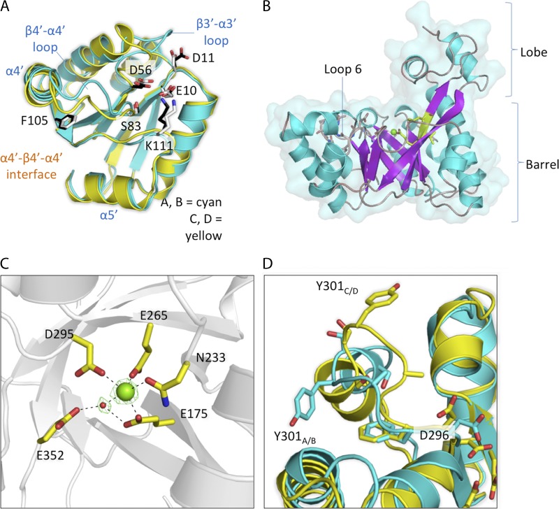 Fig 4