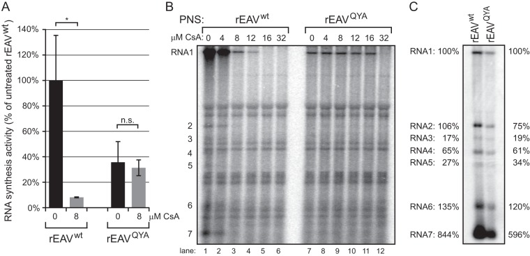 FIG 7