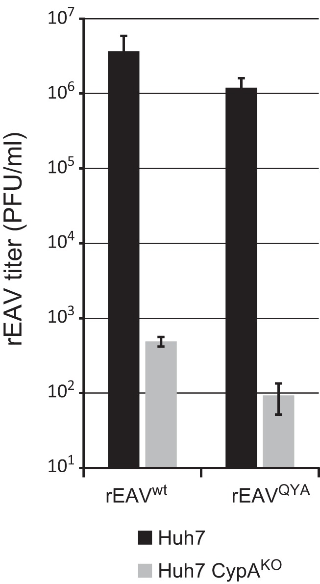 FIG 6