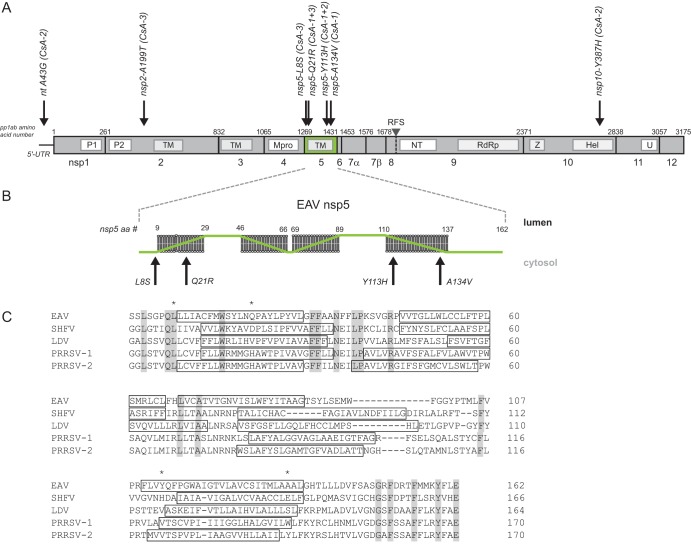 FIG 1