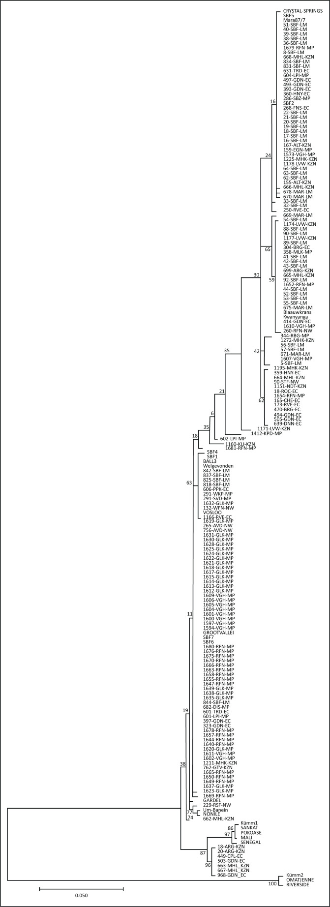 FIGURE 1-A1