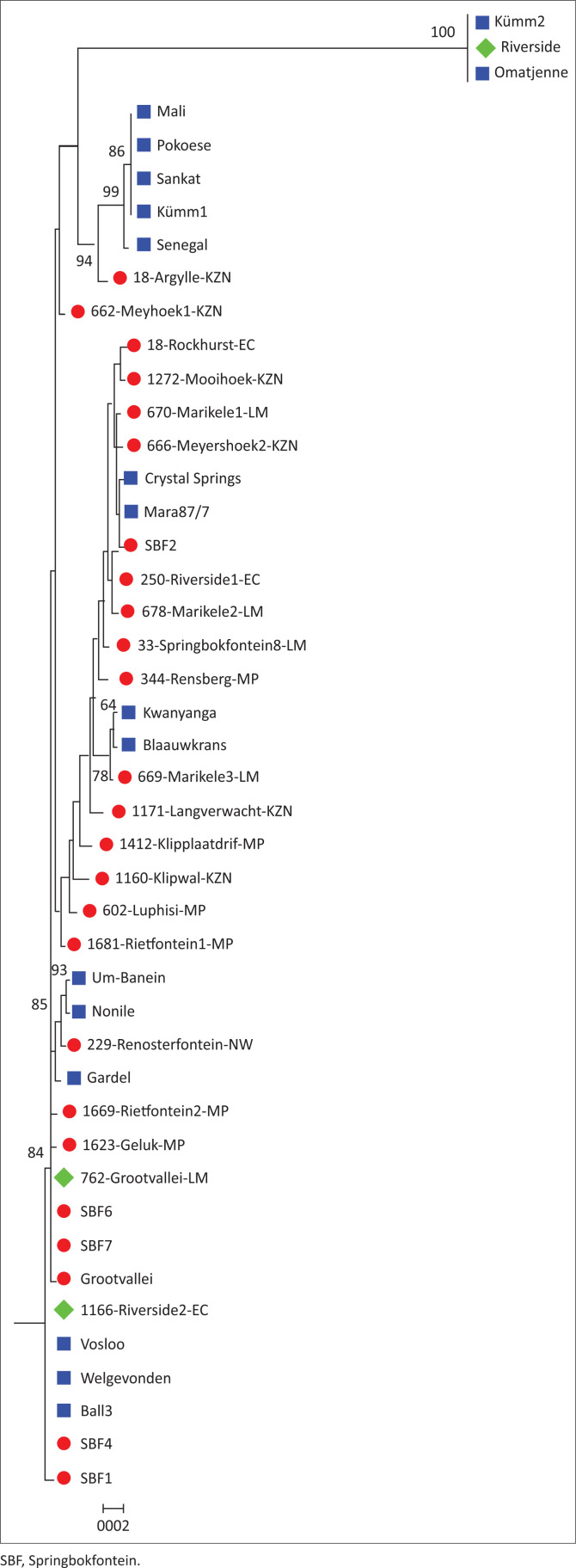 FIGURE 2