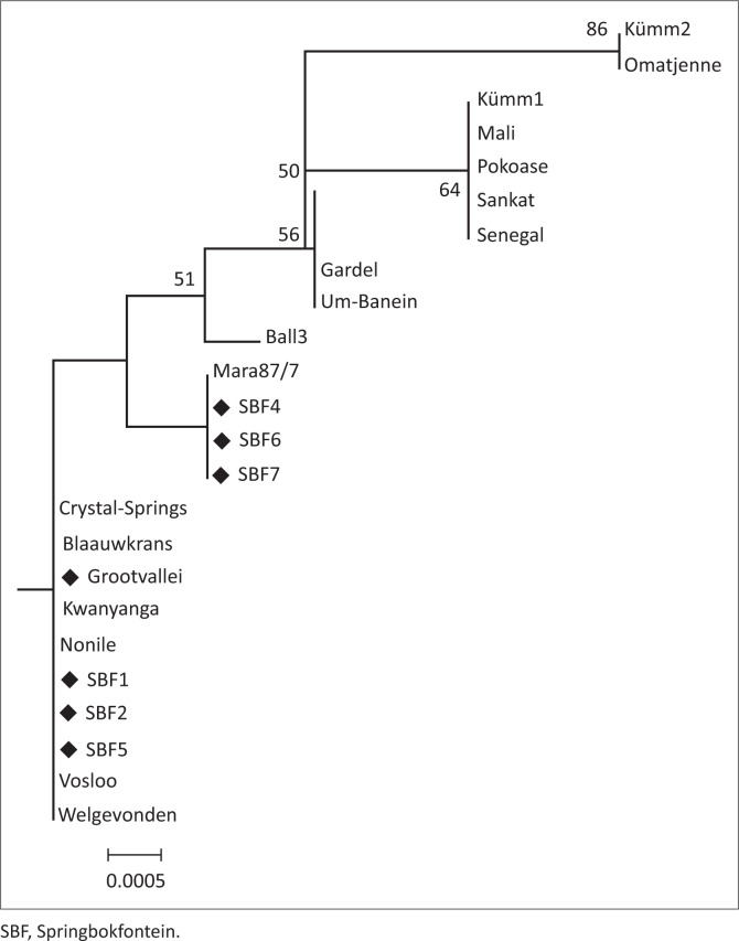 FIGURE 3