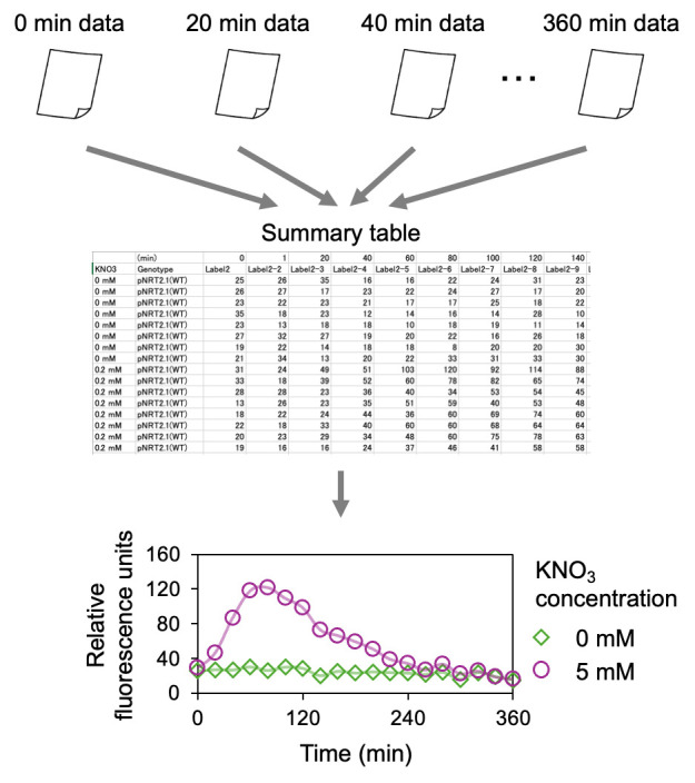 Figure 2.