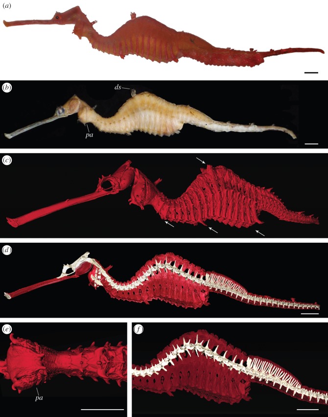 Figure 2.