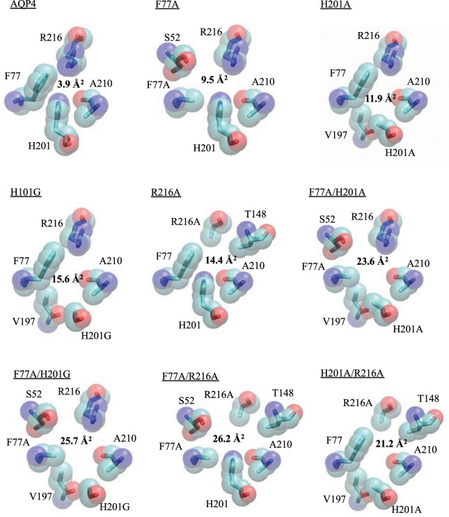 Figure 6