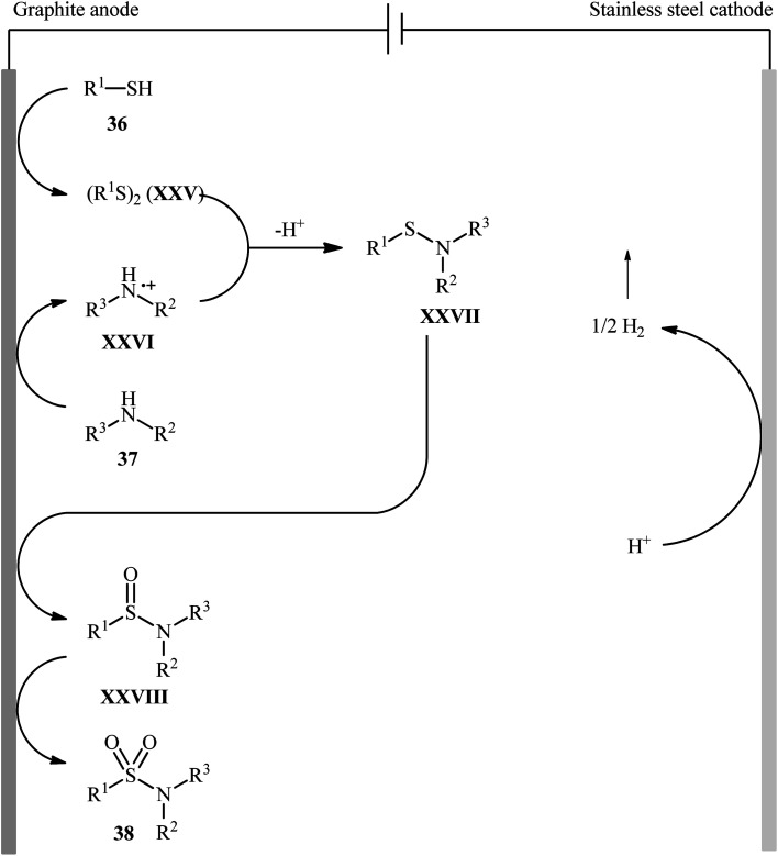 Scheme 20