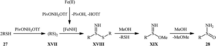 Scheme 13