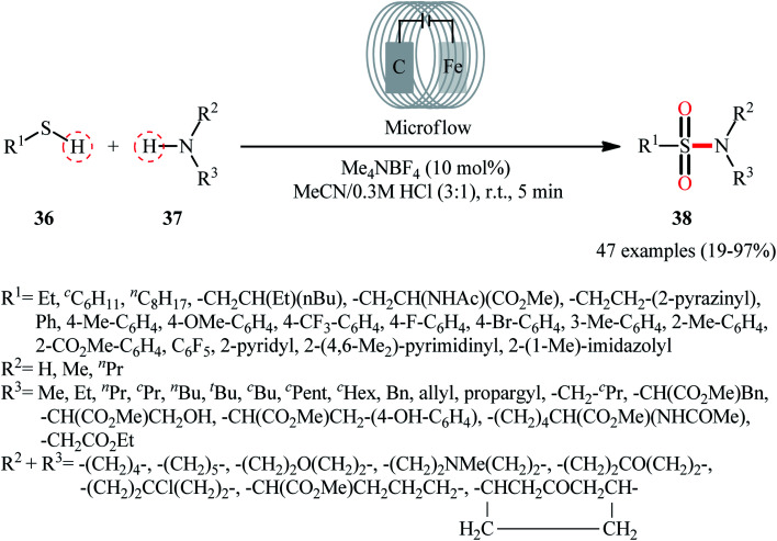 Scheme 19