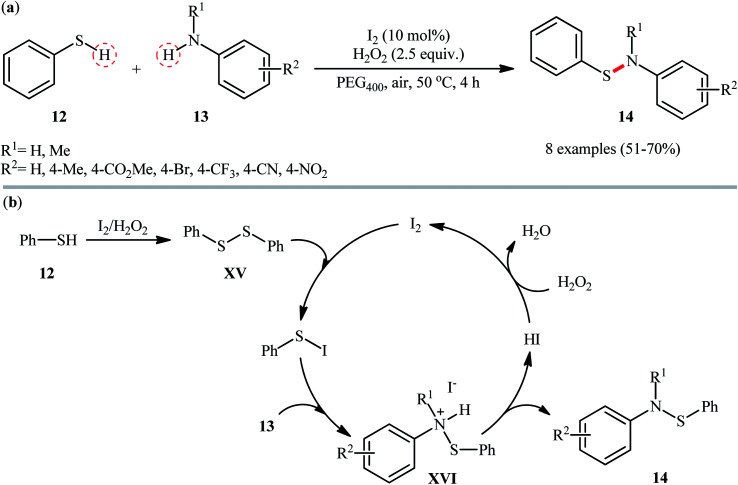 Scheme 6