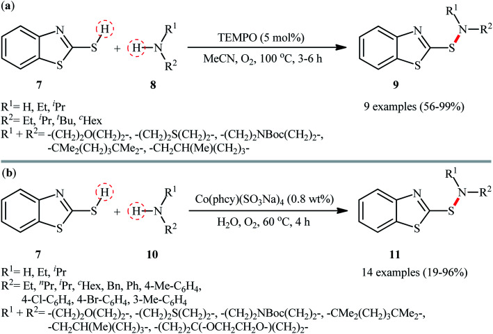 Scheme 5