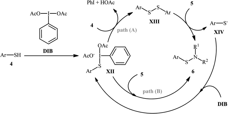 Scheme 4