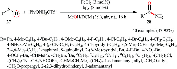 Scheme 12