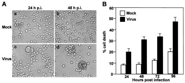 FIG. 2.