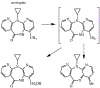 Figure 10: