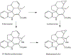 Figure 18: