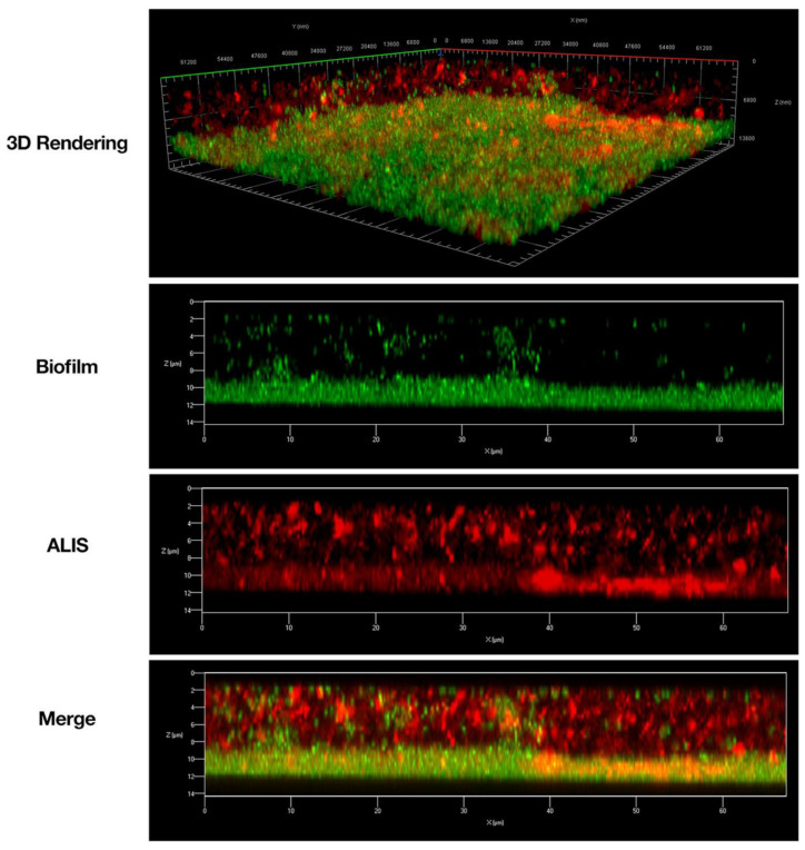 Figure 7