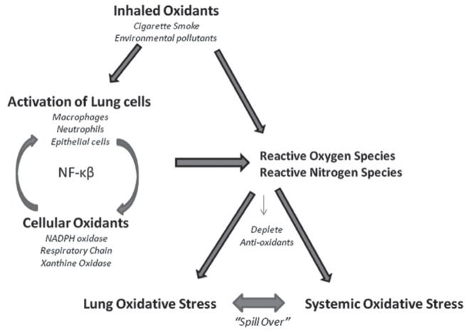 Figure 1)